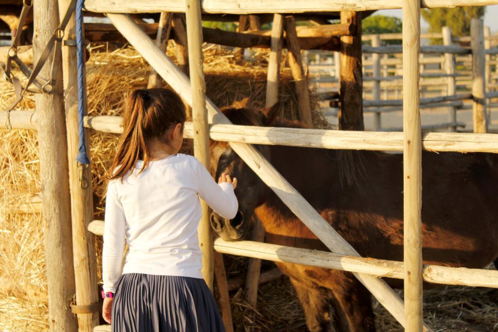 ריספשה Agriturismo Giuncola & Granaiolo מראה חיצוני תמונה