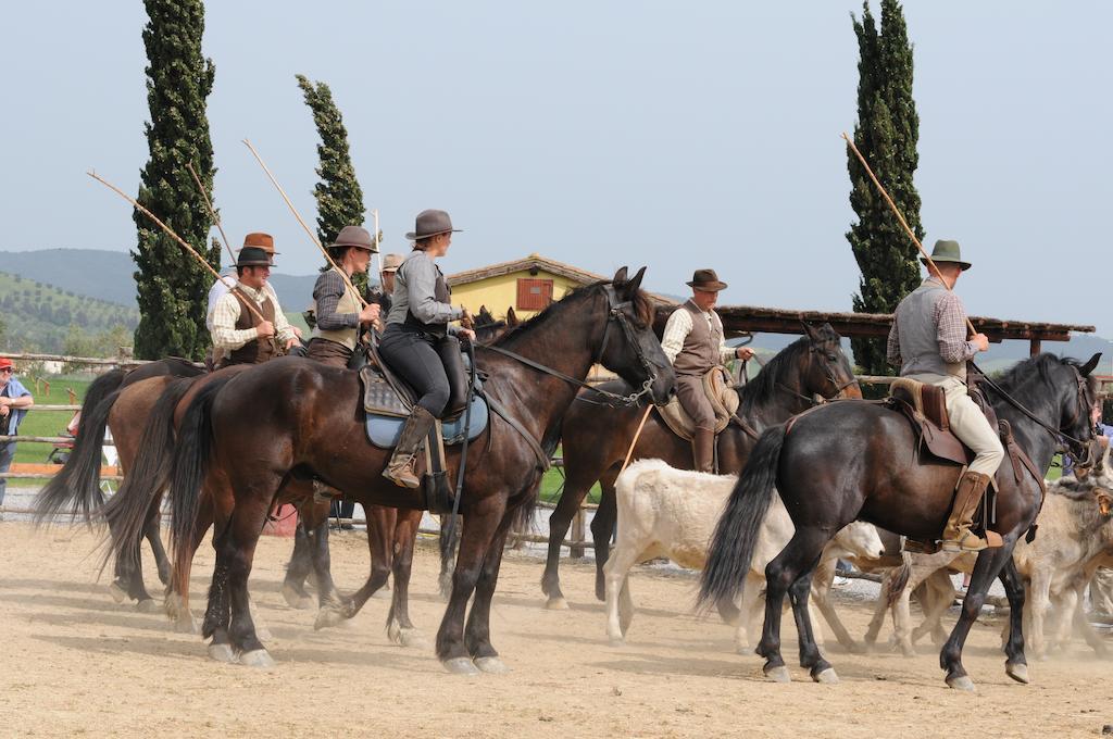 ריספשה Agriturismo Giuncola & Granaiolo מראה חיצוני תמונה